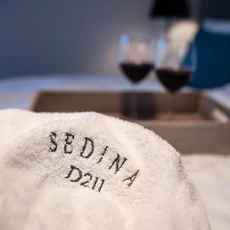 Sedina D211 Nadmorskie Tarasy Apartment